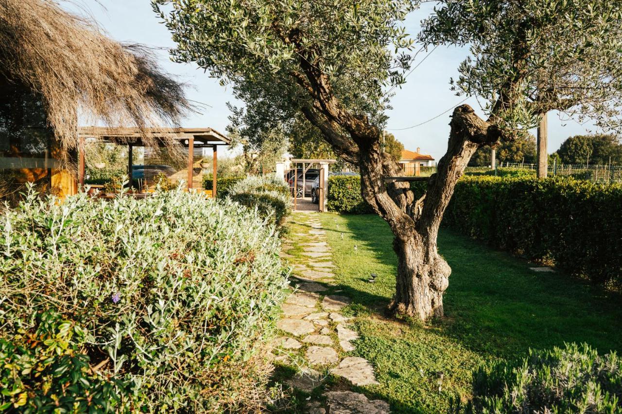 Agriturismo Sweet Cottage Marina di Grosseto Bagian luar foto