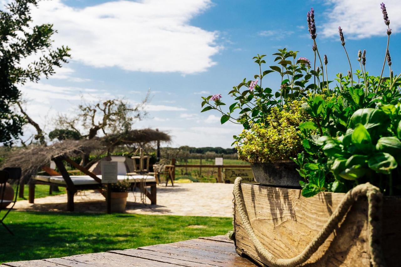Agriturismo Sweet Cottage Marina di Grosseto Bagian luar foto