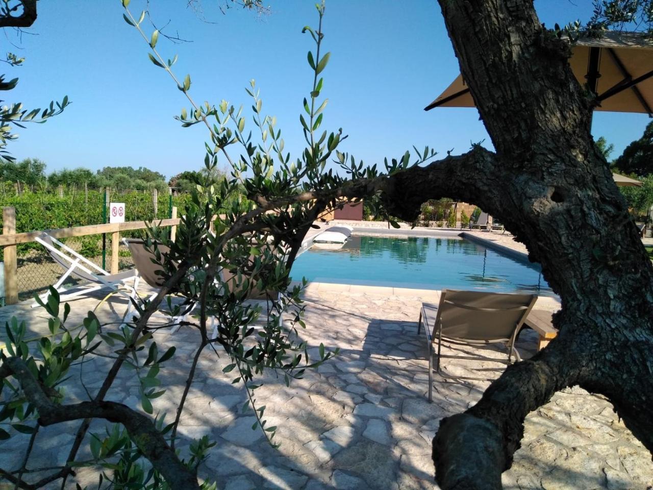 Agriturismo Sweet Cottage Marina di Grosseto Bagian luar foto